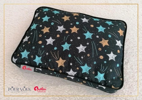 qushin starry night7